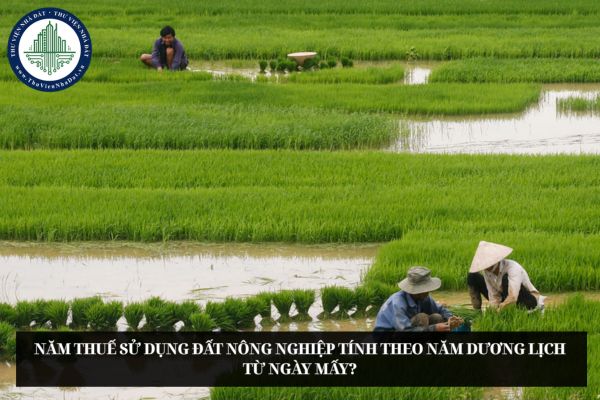 Năm thuế sử dụng đất nông nghiệp tính theo năm dương lịch từ ngày mấy?