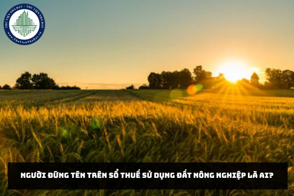 Người đứng tên trên sổ thuế sử dụng đất nông nghiệp là ai?