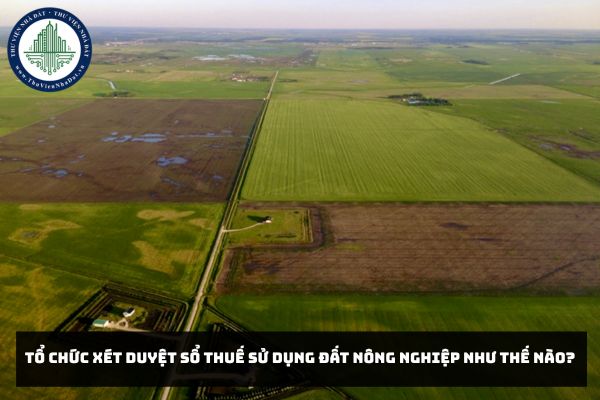 Tổ chức xét duyệt sổ thuế sử dụng đất nông nghiệp như thế nào?