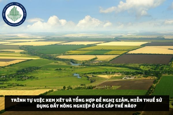 Trình tự việc xem xét và tổng hợp đề nghị giảm, miễn thuế sử dụng đất nông nghiệp ở các cấp thế nào?