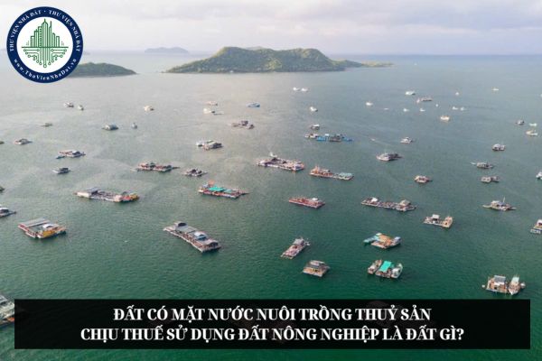 Đất có mặt nước nuôi trồng thuỷ sản chịu thuế sử dụng đất nông nghiệp là đất gì?