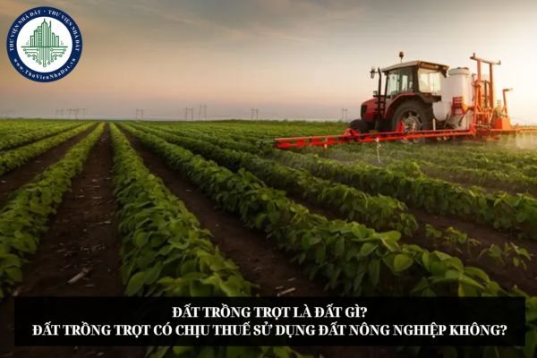 Đất trồng trọt là đất gì? Đất trồng trọt có chịu thuế sử dụng đất nông nghiệp không?