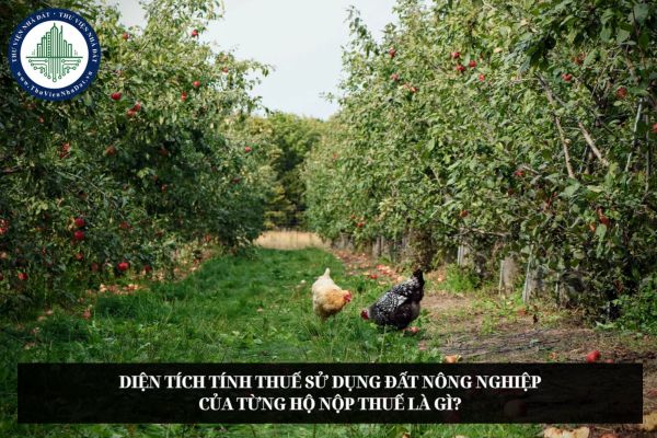Diện tích tính thuế sử dụng đất nông nghiệp của từng hộ nộp thuế là gì?