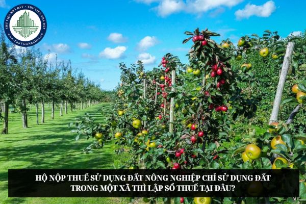 Hộ nộp thuế sử dụng đất nông nghiệp chỉ sử dụng đất trong một xã thì lập sổ thuế tại đâu?