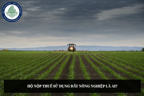 Hộ nộp thuế sử dụng đất nông nghiệp là ai?