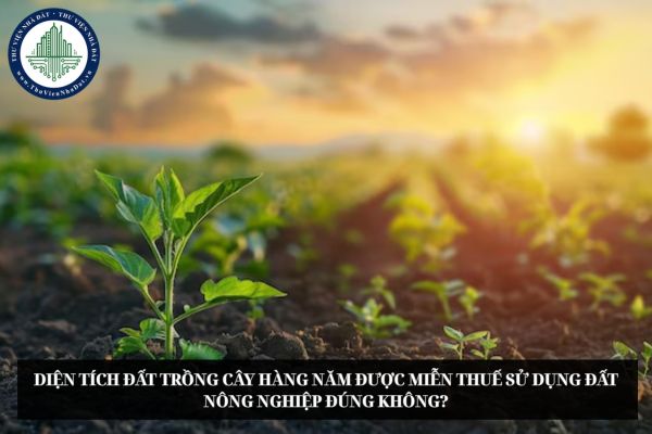 Diện tích đất trồng cây hàng năm được miễn thuế sử dụng đất nông nghiệp đúng không?