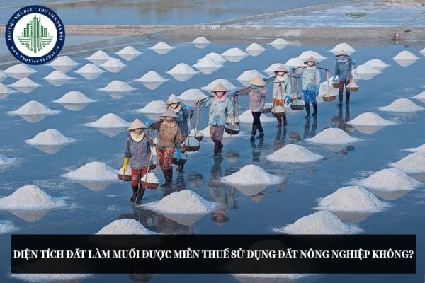 Diện tích đất làm muối được miễn thuế sử dụng đất nông nghiệp không?
