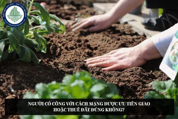 Người có công với cách mạng được ưu tiên giao hoặc thuê đất đúng không?