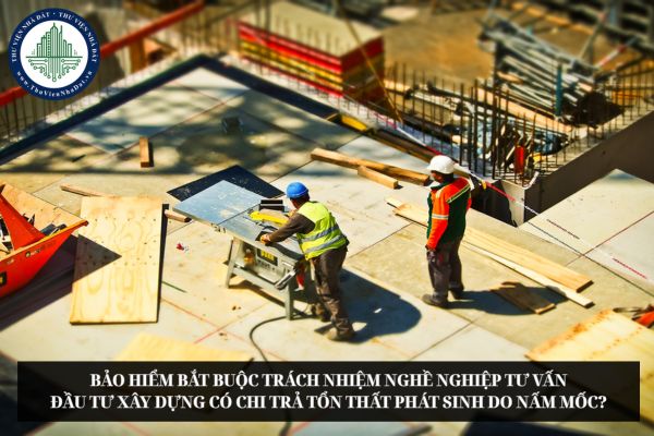 Bảo hiểm bắt buộc trách nhiệm nghề nghiệp tư vấn đầu tư xây dựng có chi trả tổn thất phát sinh do nấm mốc?
