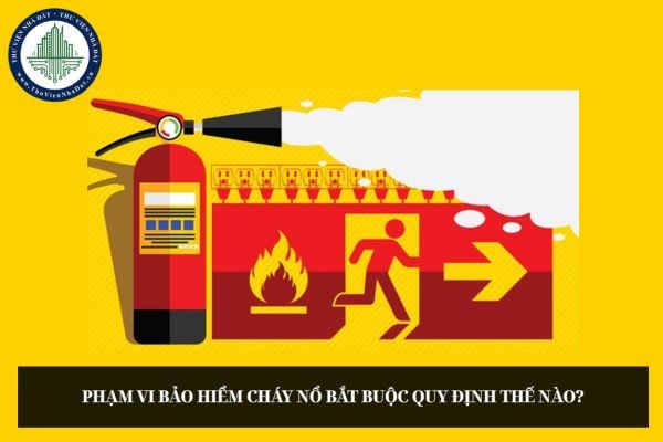 Phạm vi bảo hiểm cháy nổ bắt buộc quy định thế nào?