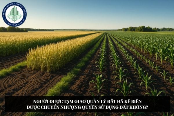 Người được tạm giao quản lý đất đã kê biên được chuyển nhượng quyền sử dụng đất không?