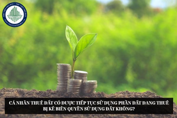 Cá nhân thuê đất có được tiếp tục sử dụng phần đất đang thuê bị kê biên quyền sử dụng đất không?