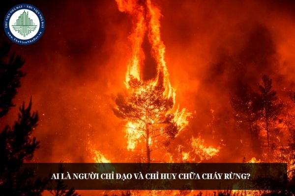 Ai là người chỉ đạo và chỉ huy chữa cháy rừng?