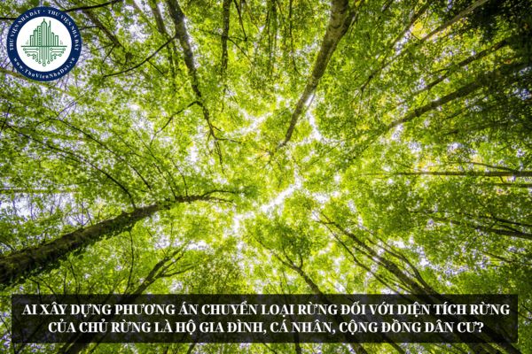 Ai xây dựng phương án chuyển loại rừng đối với diện tích rừng của chủ rừng là hộ gia đình, cá nhân, cộng đồng dân cư?
