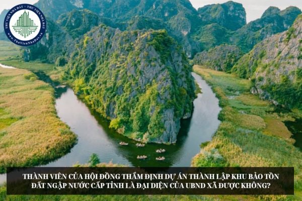 Thành viên của Hội đồng thẩm định dự án thành lập khu bảo tồn đất ngập nước cấp tỉnh là đại diện của UBND xã được không?