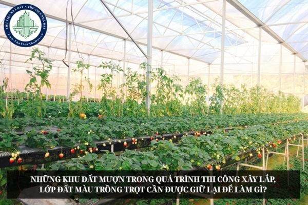 Những khu đất mượn trong quá trình thi công xây lắp, lớp đất màu trồng trọt cần được giữ lại để làm gì?