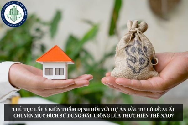 Thủ tục lấy ý kiến thẩm định đối với dự án đầu tư có đề xuất chuyển mục đích sử dụng đất trồng lúa thực hiện thế nào?