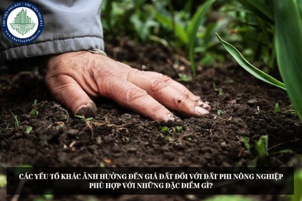 Các yếu tố khác ảnh hưởng đến giá đất đối với đất phi nông nghiệp phù hợp với những đặc điểm gì?