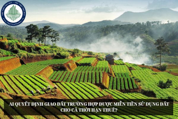 Ai quyết định giao đất trường hợp được miễn tiền sử dụng đất cho cả thời hạn thuê?