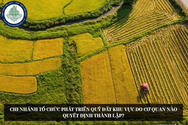 Chi nhánh tổ chức phát triển quỹ đất khu vực do cơ quan nào quyết định thành lập?