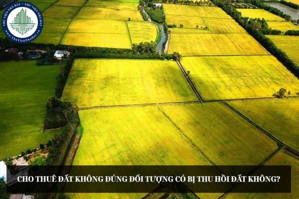 Cho thuê đất không đúng đối tượng có bị thu hồi đất không?