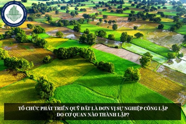 Tổ chức phát triển quỹ đất là đơn vị sự nghiệp công lập do cơ quan nào thành lập?