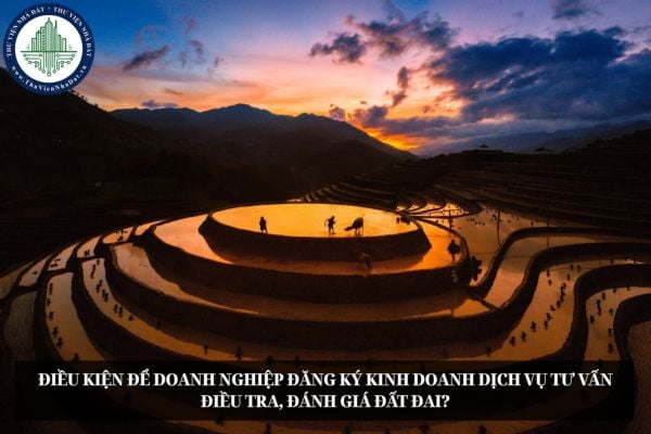 Điều kiện để doanh nghiệp đăng ký kinh doanh dịch vụ tư vấn điều tra, đánh giá đất đai?