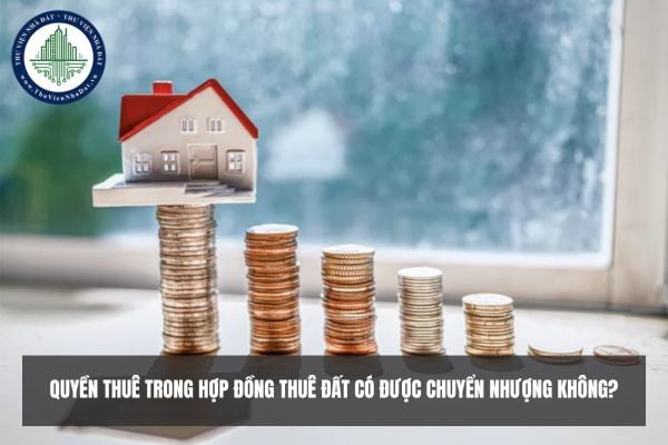 Quyền thuê trong hợp đồng thuê đất có được chuyển nhượng không?