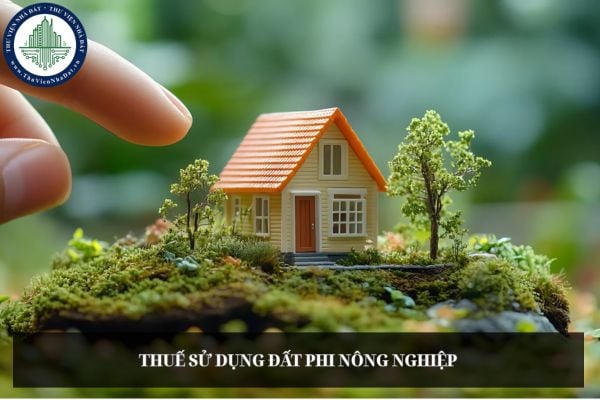 Người nộp thuế sử dụng đất phi nông nghiệp có nhiều thửa đất ở trong một tỉnh thì xác định hạn mức đất tính thuế thế nào?