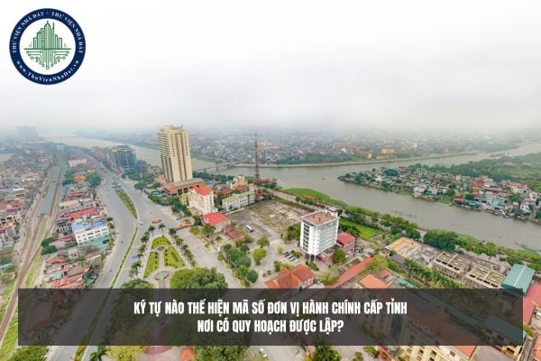 Ký tự nào thể hiện mã số đơn vị hành chính cấp tỉnh nơi có quy hoạch được lập?