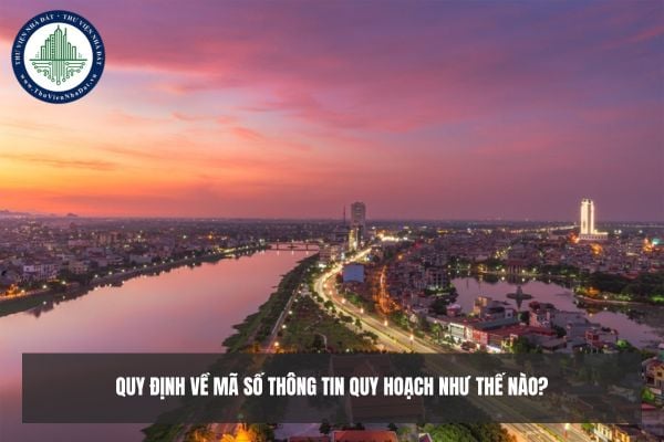 Quy định về mã số thông tin quy hoạch theo Thông tư 24 như thế nào?