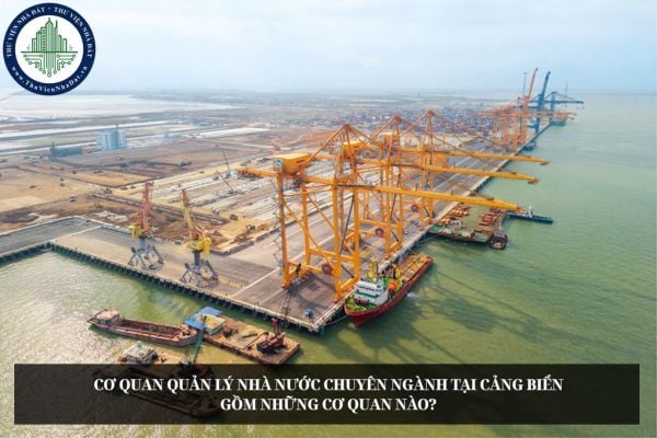 Cơ quan quản lý nhà nước chuyên ngành tại cảng biển gồm những cơ quan nào?