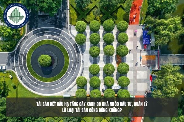 Tài sản kết cấu hạ tầng cây xanh do Nhà nước đầu tư, quản lý là loại tài sản công đúng không?