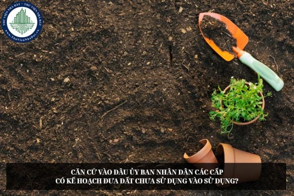 Căn cứ vào đâu Ủy ban nhân dân các cấp có kế hoạch đưa đất chưa sử dụng vào sử dụng?