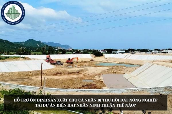 Hỗ trợ ổn định sản xuất cho cá nhân bị thu hồi đất nông nghiệp tại Dự án điện hạt nhân Ninh Thuận thế nào?