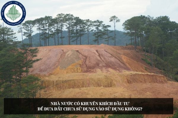 Nhà nước có khuyến khích đầu tư để đưa đất chưa sử dụng vào sử dụng không?