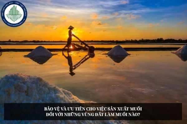 Bảo vệ và ưu tiên cho việc sản xuất muối đối với những vùng đất làm muối nào?