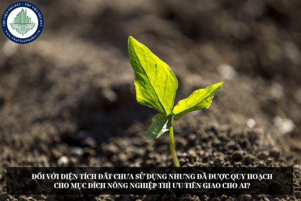 Đối với diện tích đất chưa sử dụng nhưng đã được quy hoạch cho mục đích nông nghiệp thì ưu tiên giao cho ai?