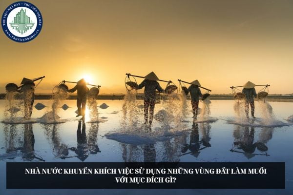 Nhà nước khuyến khích việc sử dụng những vùng đất làm muối với mục đích gì?