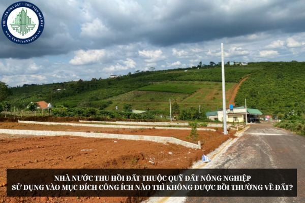 Nhà nước thu hồi đất thuộc quỹ đất nông nghiệp sử dụng vào mục đích công ích nào thì không được bồi thường về đất?