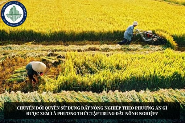 Chuyển đổi quyền sử dụng đất nông nghiệp theo phương án gì được xem là phương thức tập trung đất nông nghiệp?
