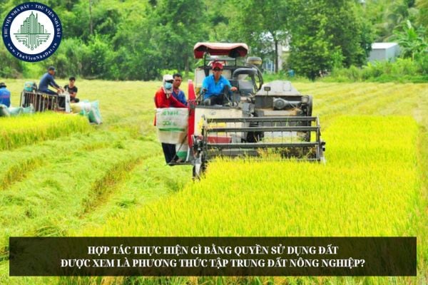 Hợp tác thực hiện gì bằng quyền sử dụng đất được xem là phương thức tập trung đất nông nghiệp?