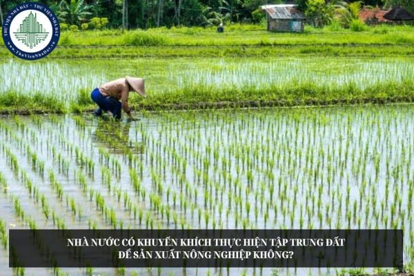 Nhà nước có khuyến khích thực hiện tập trung đất để sản xuất nông nghiệp không?