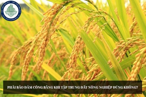 Phải bảo đảm công bằng khi tập trung đất nông nghiệp đúng không?