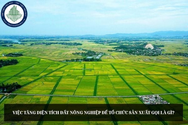 Việc tăng diện tích đất nông nghiệp để tổ chức sản xuất gọi là gì?