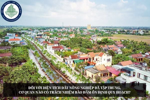 Đối với diện tích đất nông nghiệp đã tập trung, cơ quan nào có trách nhiệm bảo đảm ổn định quy hoạch?