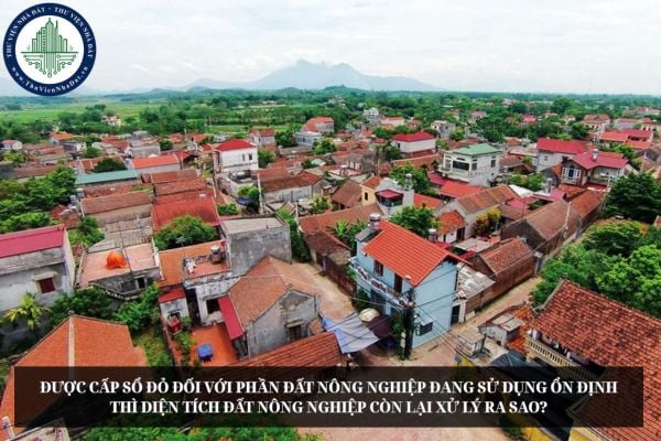 Được cấp Sổ đỏ đối với phần đất nông nghiệp đang sử dụng ổn định thì diện tích đất nông nghiệp còn lại xử lý ra sao?