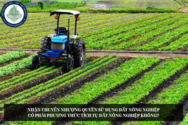 Nhận chuyển nhượng quyền sử dụng đất nông nghiệp có phải phương thức tích tụ đất nông nghiệp không?