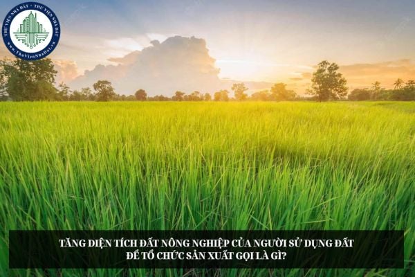 Tăng diện tích đất nông nghiệp của người sử dụng đất để tổ chức sản xuất gọi là gì?