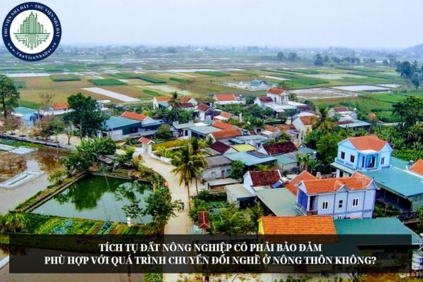 Tích tụ đất nông nghiệp có phải bảo đảm phù hợp với quá trình chuyển đổi nghề ở nông thôn không?